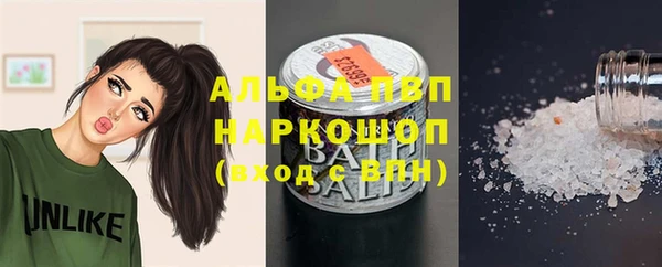 эйфоретик Белокуриха