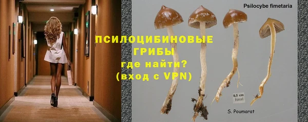 эйфоретик Белокуриха